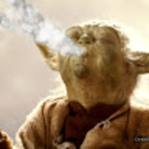 Meet your Posher, Yo boi